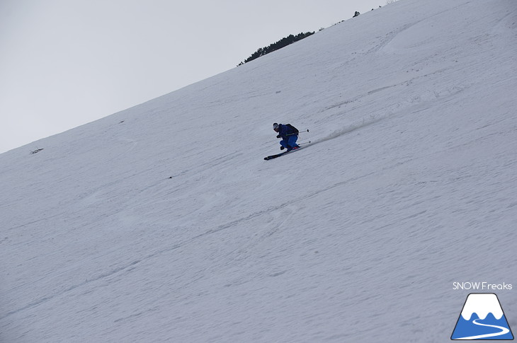 DYNASTAR SKI series Test Ride Days 2017 in ニセコユナイテッド【Day.2】～ニセコグラン・ヒラフ～